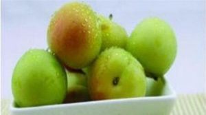 俊楊農場 俊楊農場