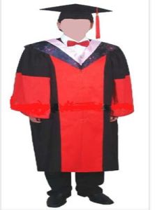 博士研究生 博士研究生