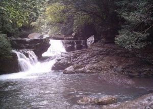 滿月圓森林遊樂園 滿月圓森林遊樂園