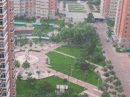 新科祥園 新科祥園