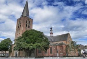 蒂倫豪特 蒂倫豪特