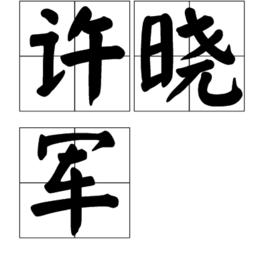 許曉軍[遼寧華錦化工集團公司副總經理]