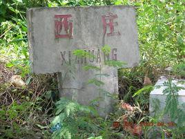 西莊村[元江縣澧江鎮大水平村民委員會下轄村]