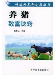 養豬致富訣竅 養豬致富訣竅