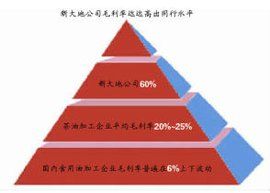 銷售毛利率 銷售毛利率