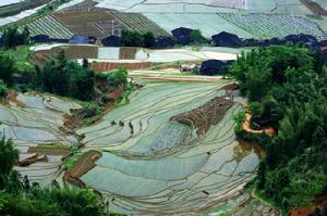 風光美麗的尤溪梯田