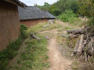 張德寨自然村 張德寨自然村