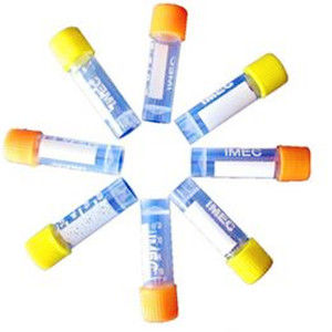 丙酮酸羧化酶 丙酮酸羧化酶