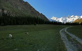 夏塔古道 夏塔古道
