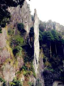 滿田森林公園 滿田森林公園