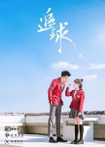 追球[2018年蘇浩旗執導電視劇]