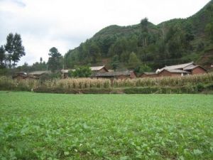 李家溝自然村 李家溝自然村