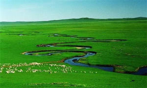 阿巴嘎旗 阿巴嘎旗