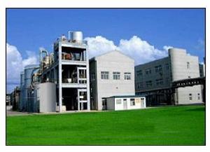 濱化集團股份有限公司 濱化集團股份有限公司