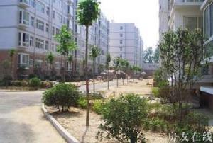 風雅頌天驕學府 風雅頌天驕學府