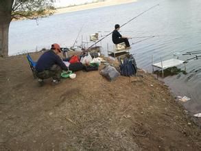 石家莊釣魚論壇 石家莊釣魚論壇