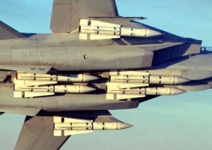 美國F-14戰鬥機