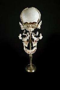 博切恩頭骨 博切恩頭骨