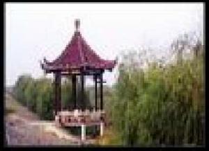 百家湖別墅花園 百家湖別墅花園