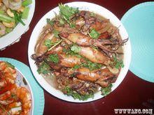 金烏賊[金烏賊]