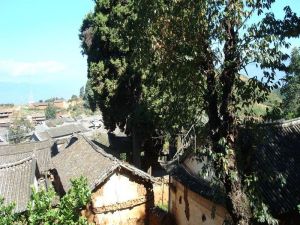 大南極自然村 大南極自然村