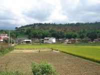 梨樹凹自然村 梨樹凹自然村