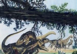 艾德瑪龍 艾德瑪龍