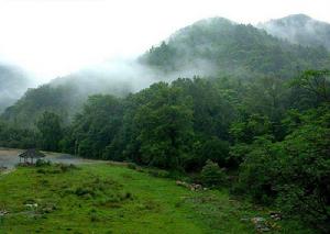 車八嶺國家級自然保護區 車八嶺國家級自然保護區