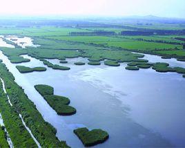 八五六農場 八五六農場