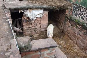 迤南莊村-畜牧業