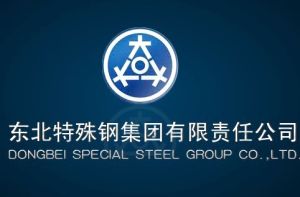 東北特殊鋼集團有限公司 東北特殊鋼集團有限公司