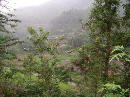 上老普寨自然村 上老普寨自然村