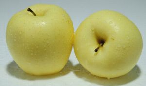 雪梨(水果) 雪梨(水果)