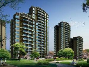 悅城逸景 悅城逸景