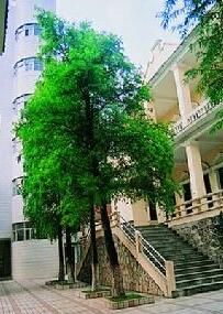 中共東莞支部機關舊址