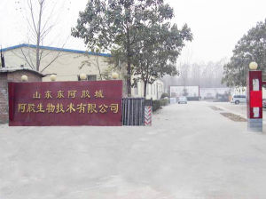 膠城阿膠 膠城阿膠