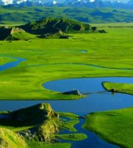 巴音布魯克濕地 巴音布魯克濕地