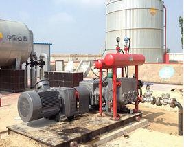 油氣混輸泵 油氣混輸泵