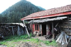 下寬塘村 下寬塘村