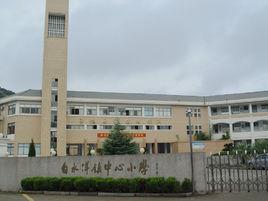 白水洋鎮中心國小 白水洋鎮中心國小