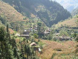 黃岩洞自然村 黃岩洞自然村