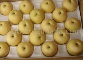 河北省晉州市長城經貿有限公司產品