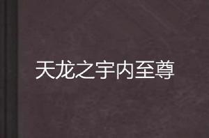 天龍之宇內至尊 天龍之宇內至尊