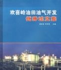 歡喜嶺油田氣開發優秀論文集 歡喜嶺油田氣開發優秀論文集