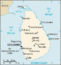 盧哈納茶 盧哈納茶