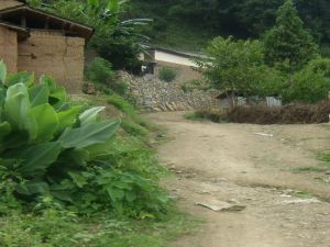 張保上村 張保上村