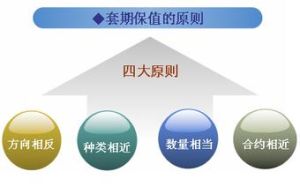 被套期項目 被套期項目