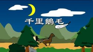 千里鵝毛 千里鵝毛