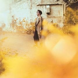 無聲的約束 無聲的約束