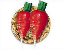 紅廟蘿蔔 紅廟蘿蔔